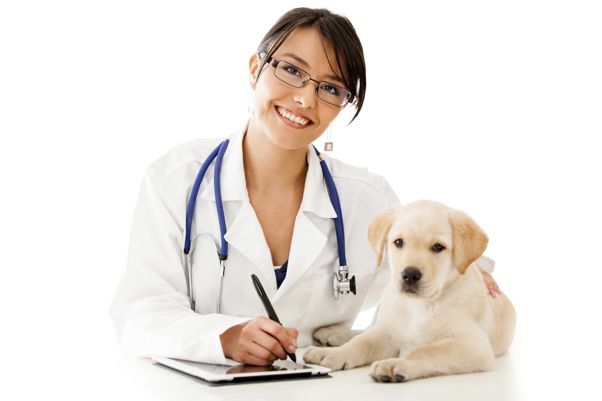 8 good reasons to take your pet to the vet for checkups