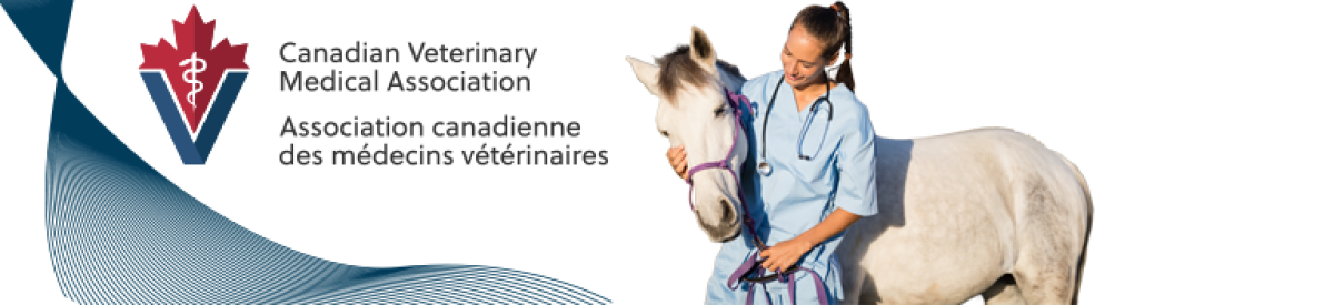 banner_3.png