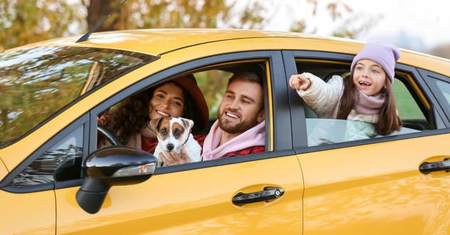 car insurance