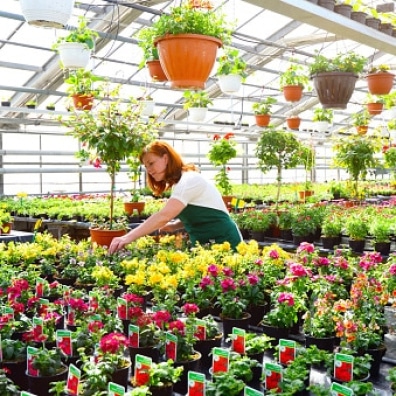 Greenhouse-0002-0001.jpg
