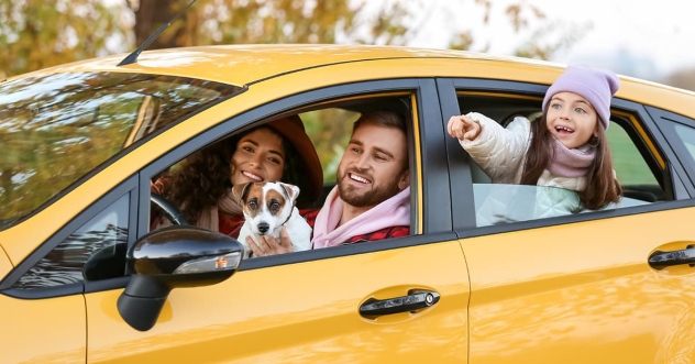 car insurance