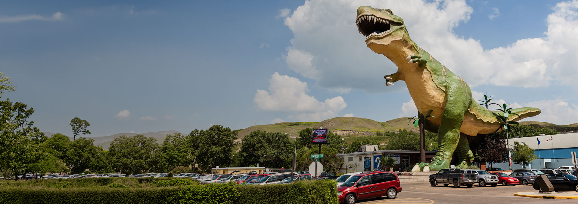 car insurance drumheller