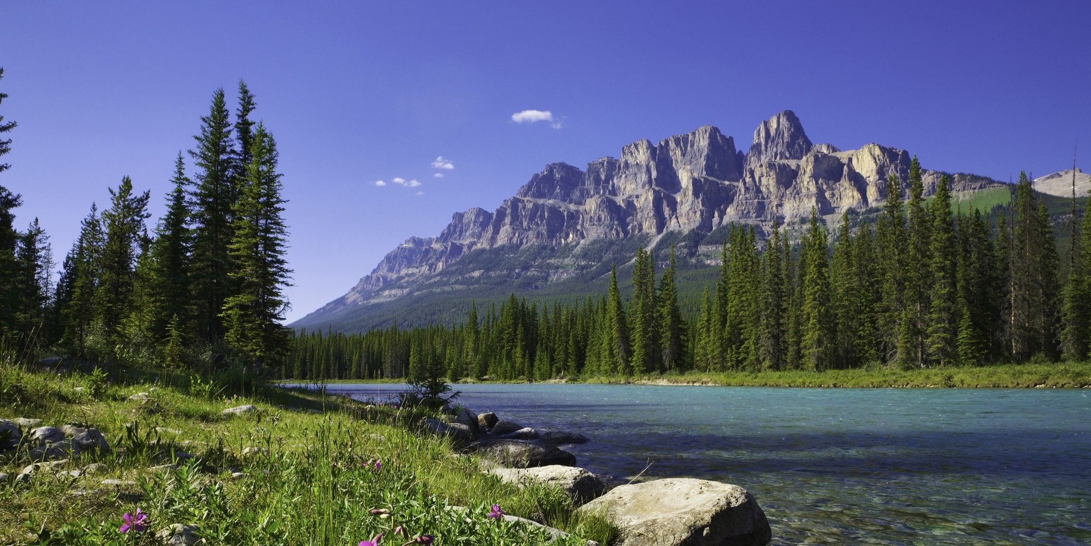 Brooks Alberta Insurance Broker