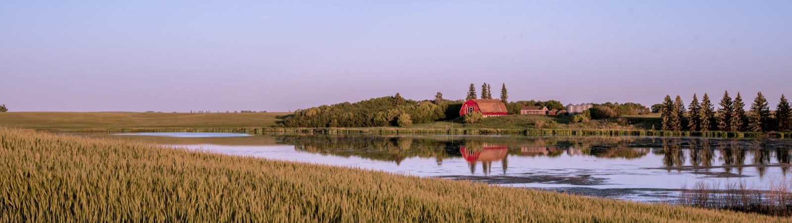 Saskatchewan farmland