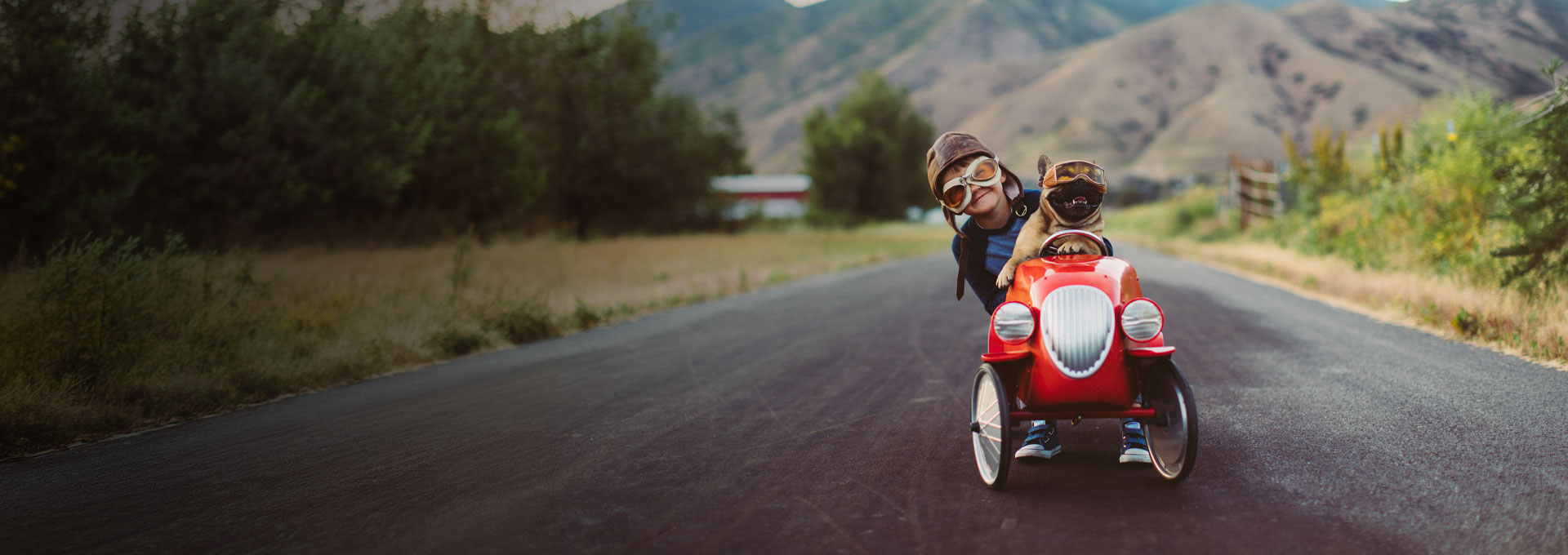 Alberta insurance coverage for all your needs