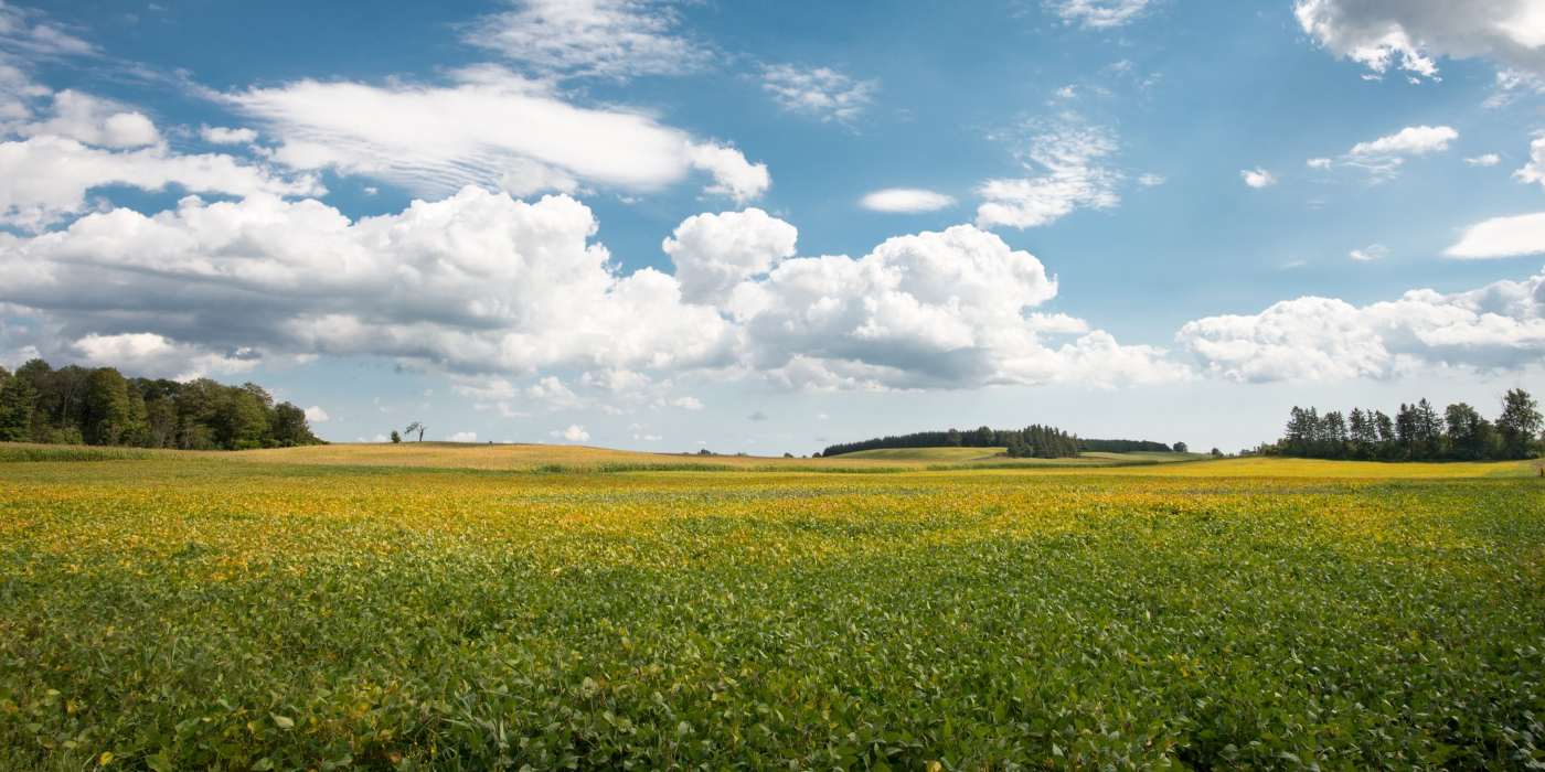 best insurance broker in schomberg ontario