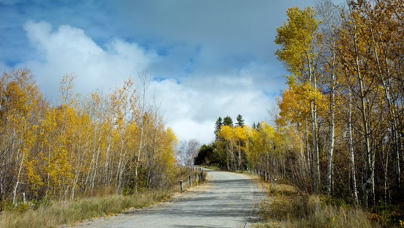 Car insurance timmins