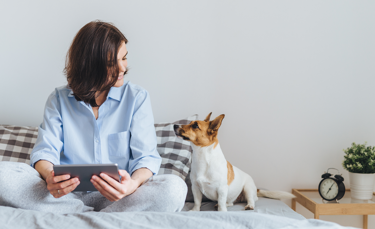 Young woman in new apartment holds tablet while looking at puppy