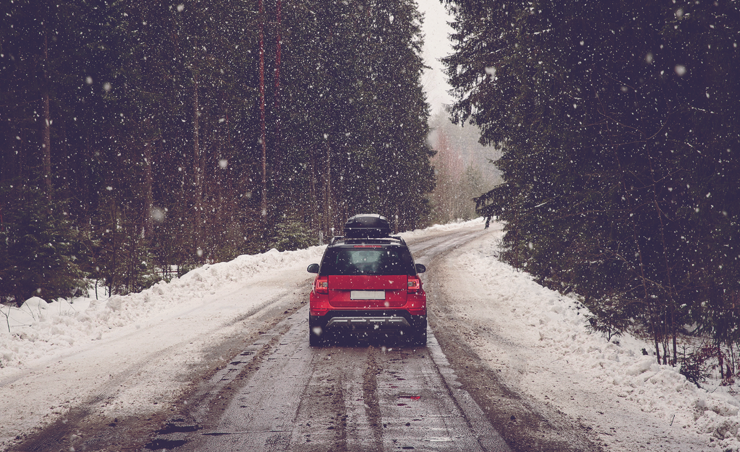 Red car with roof rack drives through snow covered forest