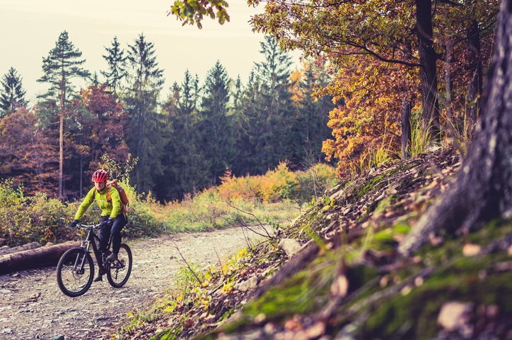 Mountain biker riding cycling in autumn forest