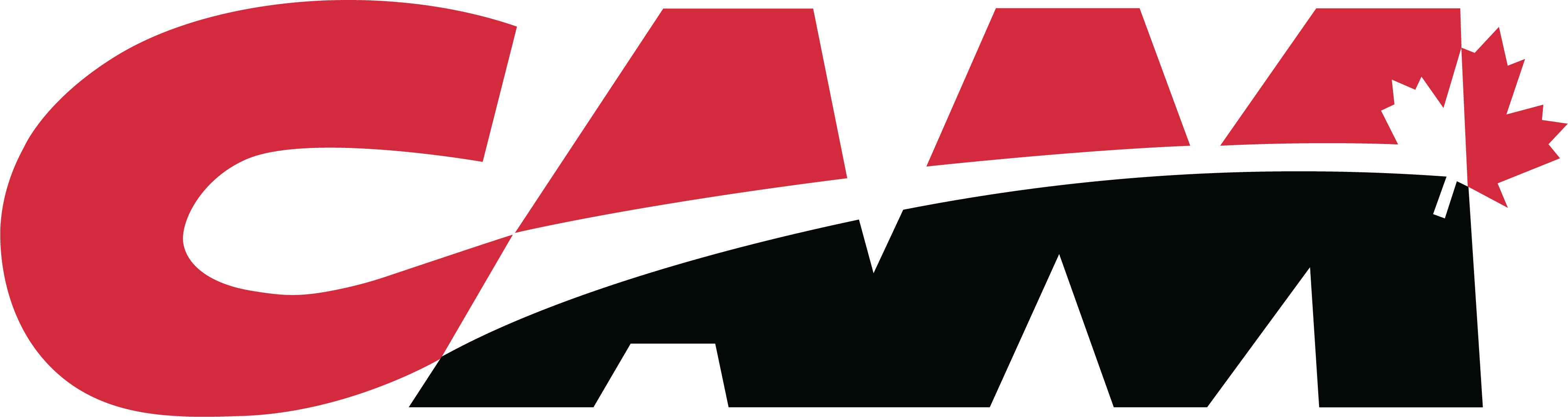 CAM_Logo_clear.png
