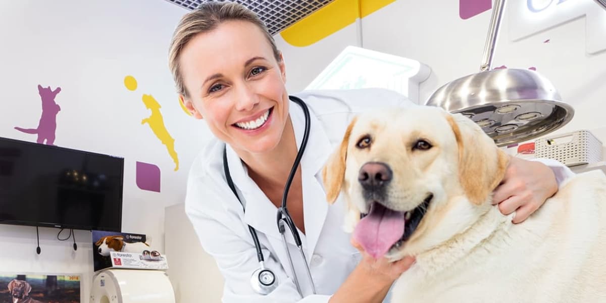 CVMA Canadian Veterinary Medical Association Insurance 