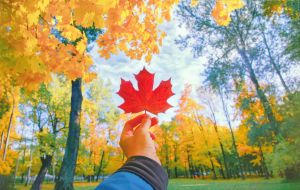 Super Visa Medical Insurance French