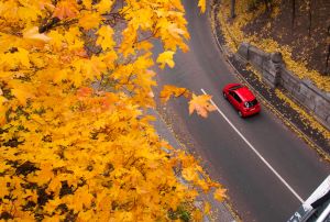 What Canadian Car Insurance Do Foreign Visitors Need? image