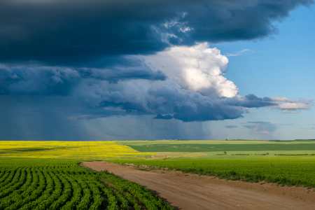 Climate Change Insurance Risks