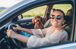 Driving Myths in Canada