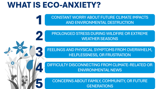 Eco_article_2.png