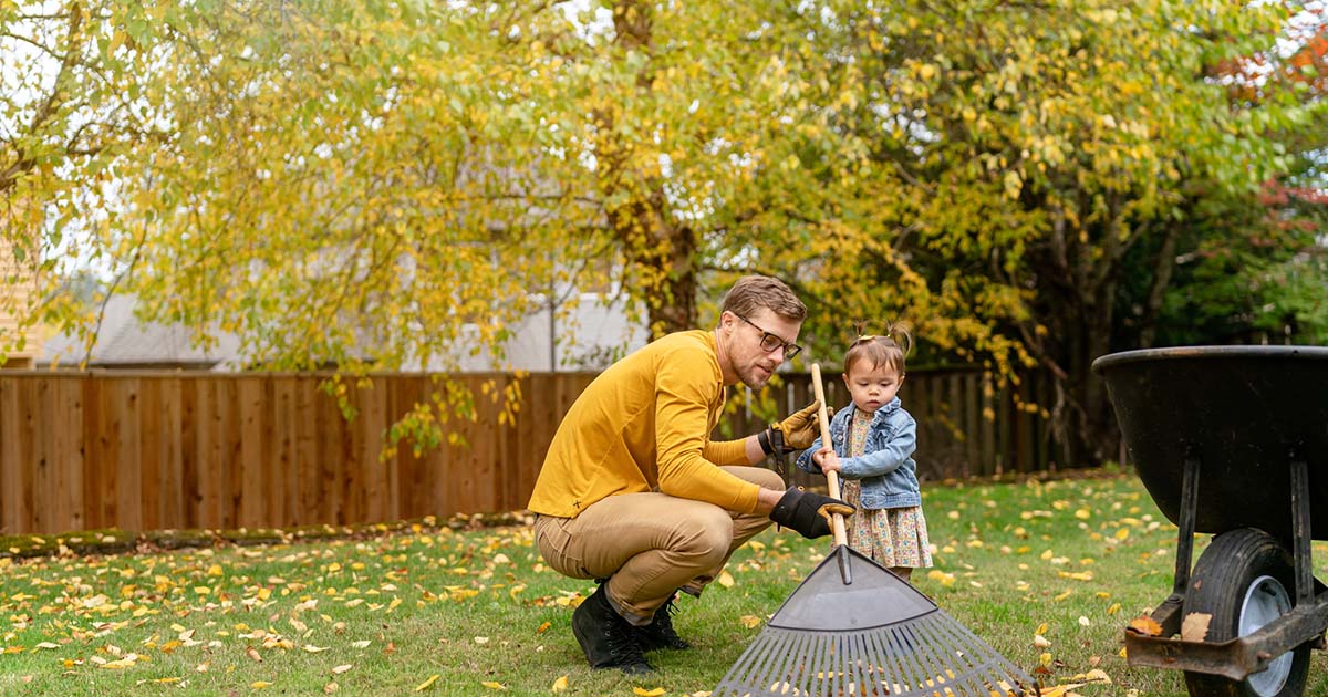 Jardinage et entretien de la pelouse à l’automne