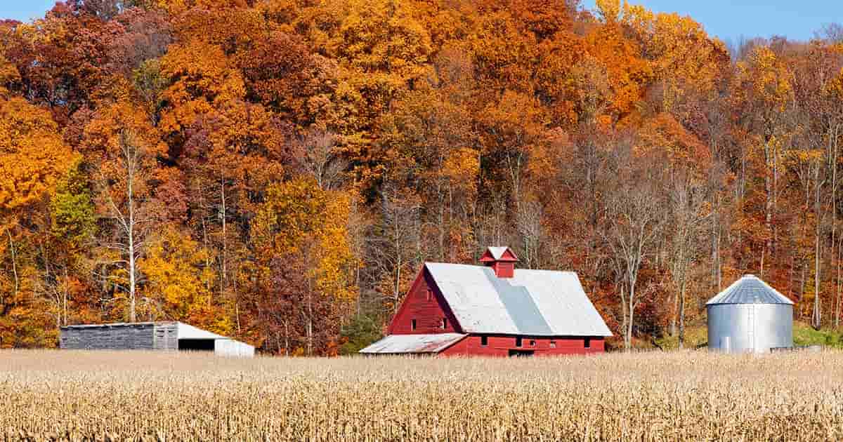 How to Review and Upgrade Your Farm Insurance