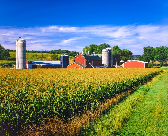 View of a farm