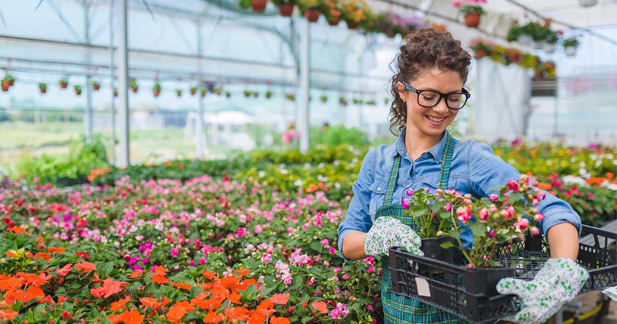 Comment protéger vos serres et vos jardineries