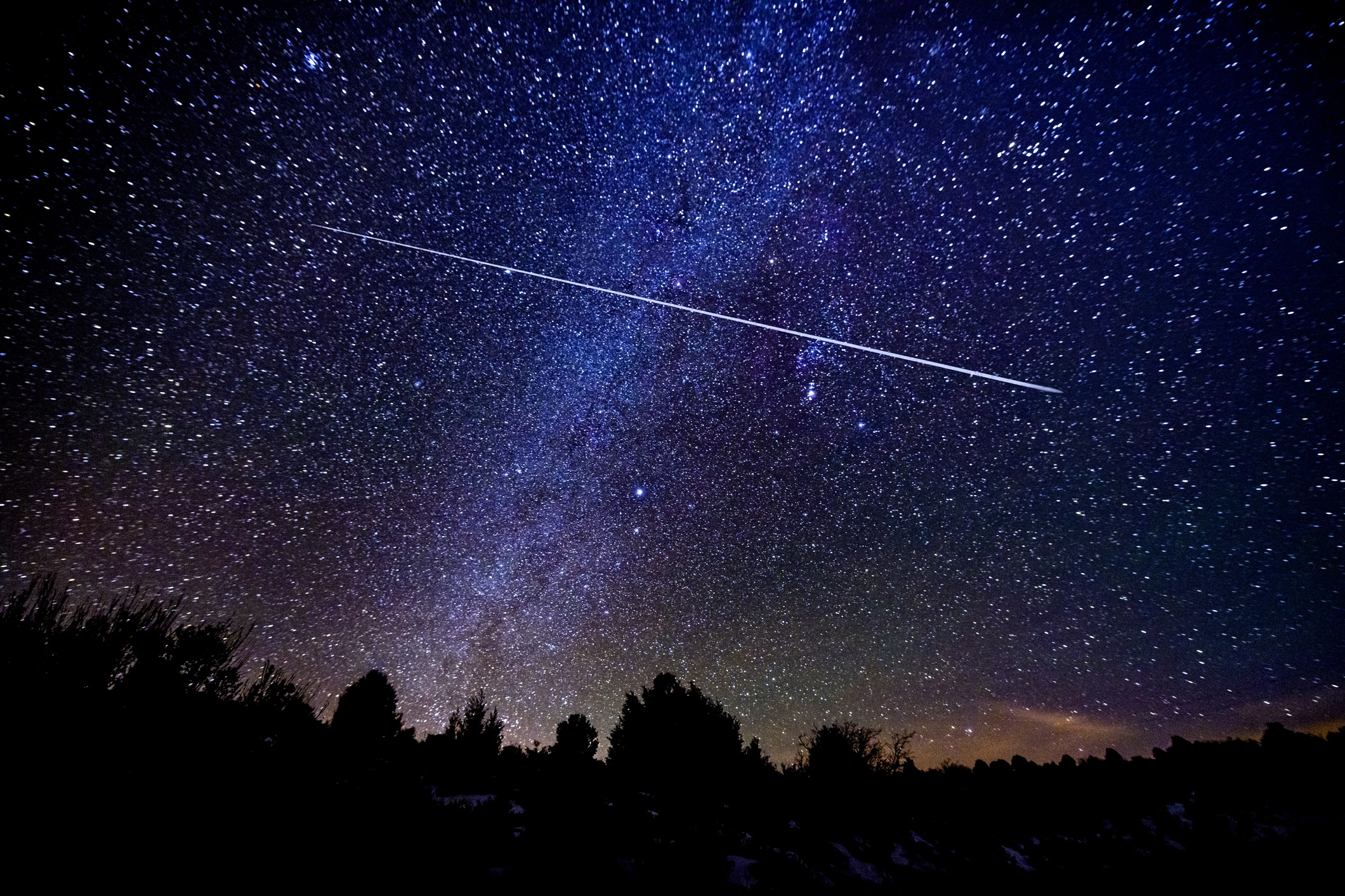 Meteor shower over a heavily treed forest