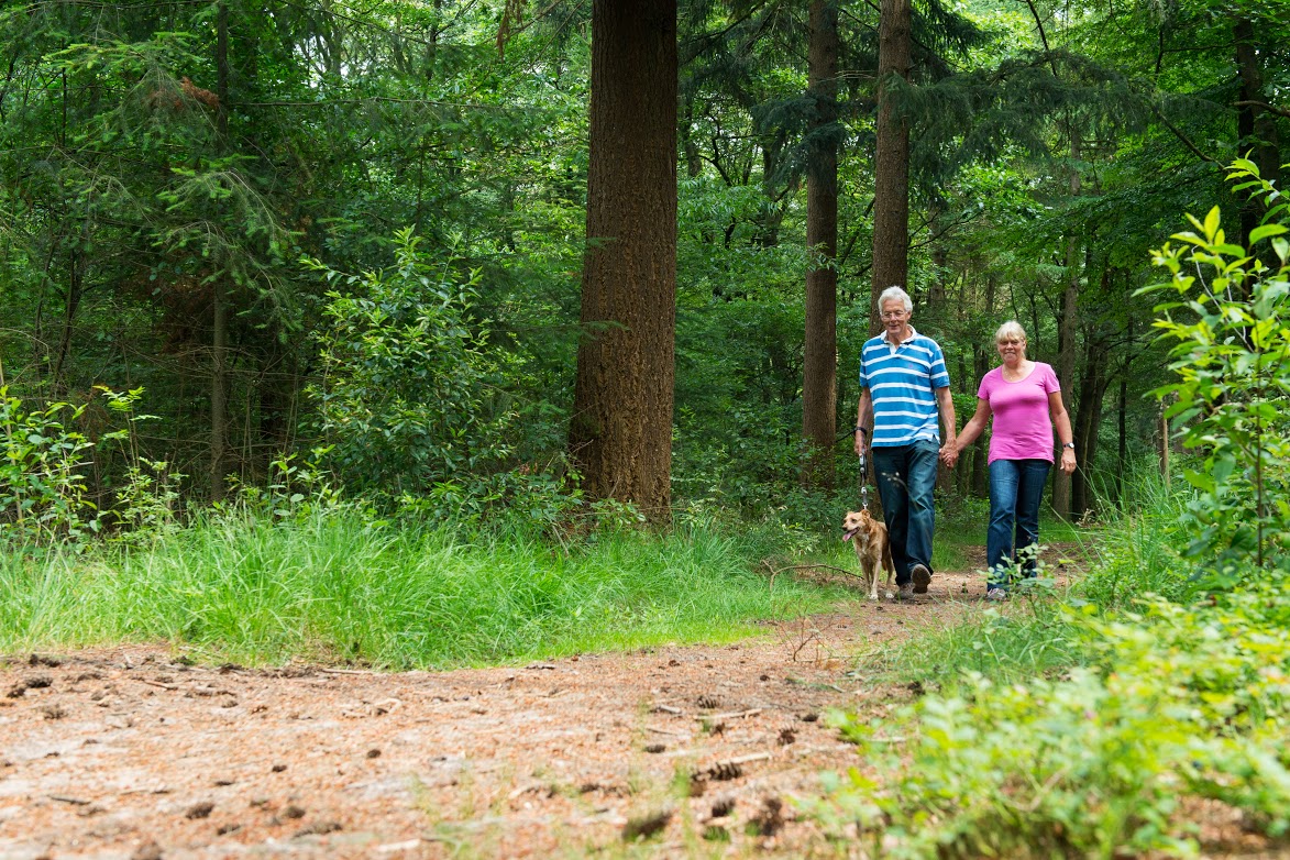 An older couple, husband and wife, walk through the woods hand-in-hand, walking their dog as well