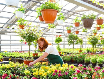 Retail Insurance