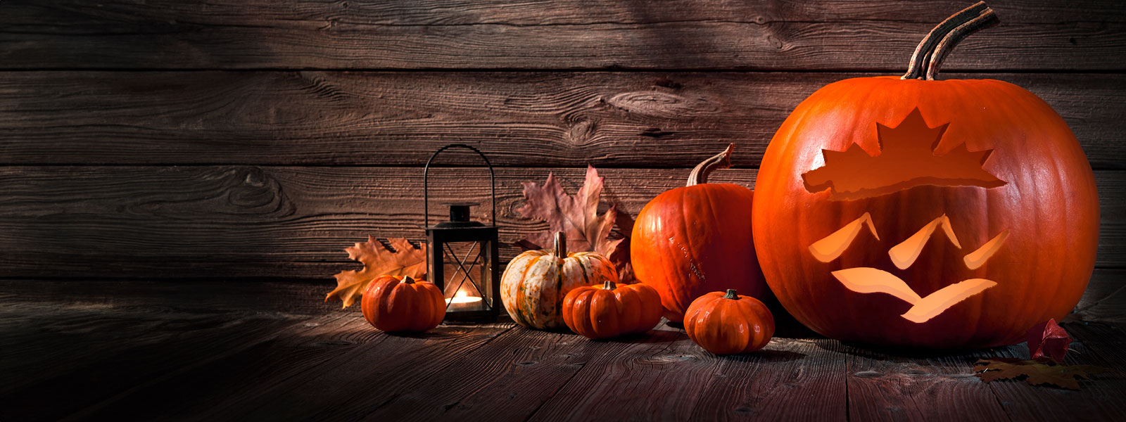 Pumpkins, costumes, and Halloween smiles at Western Financial Group – celebrating spooky season safely