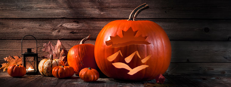 Pumpkins, costumes, and Halloween smiles at Western Financial Group – celebrating spooky season safely