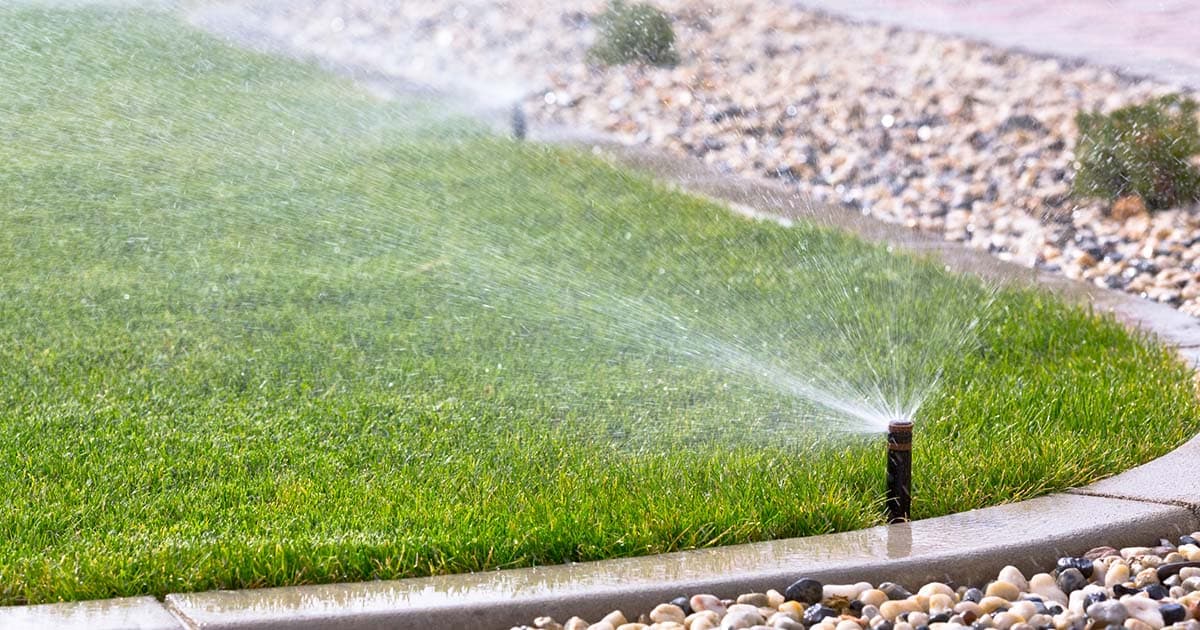 Comment réduire la consommation d’eau par temps chaud