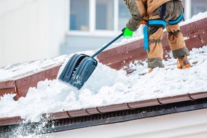 Snow Removal Biz insurance
