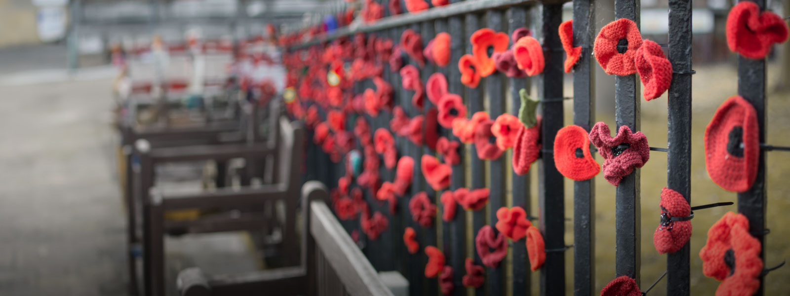 Remembrance Day poppy with Western Financial Group message honouring Canadian veterans and their courage, sacrifice, and service.