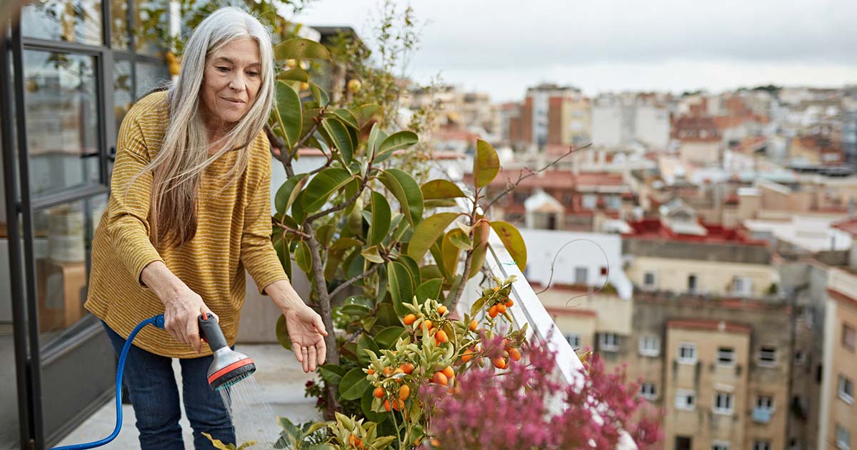 Conseils pour cultiver un jardin urbain