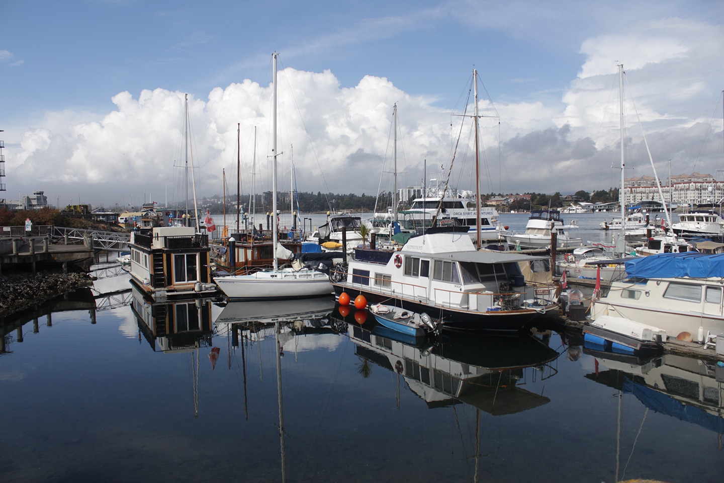Numerous boats of all shapes and sizes sit in a still marina outside Victoria, British Columbia