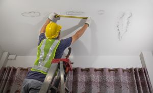 Water Damage Home French 
