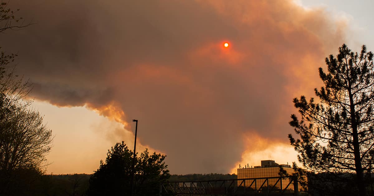 Quelle répercussions les incendies de forêt ont-ils sur les entreprises canadiennes