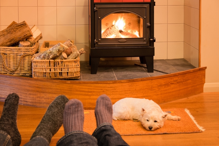 Socks and feet of a couple relaxing by fire with west highland terrier dog 