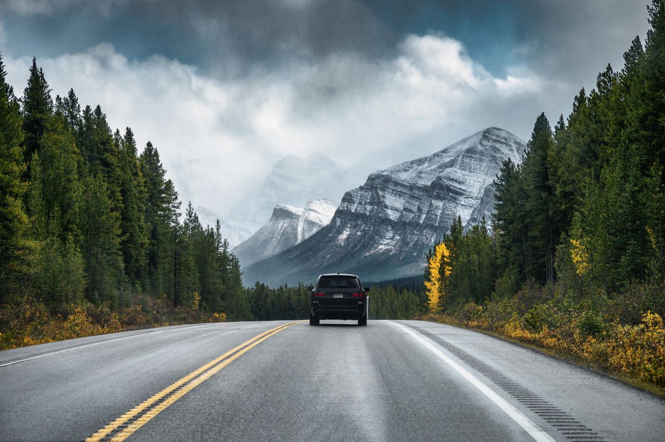 Alberta driver reviewing a Care-First auto insurance renewal notice