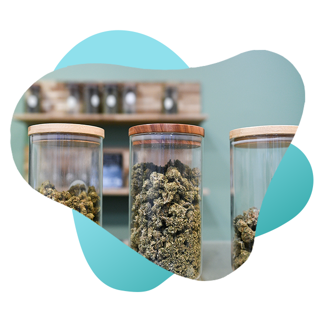 cannabis_2-0001.png