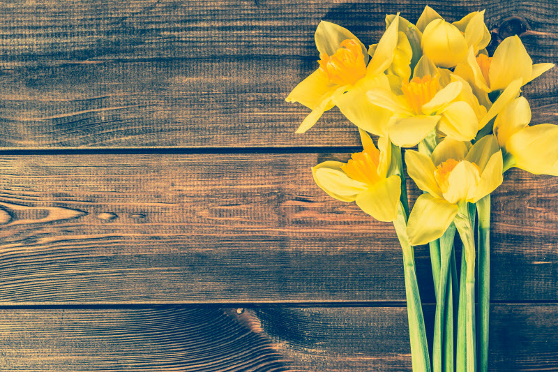 Daffodil month