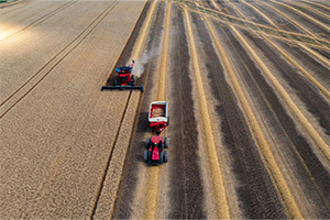 Harvest Season Insurance Checklist for Canadian Farmers image