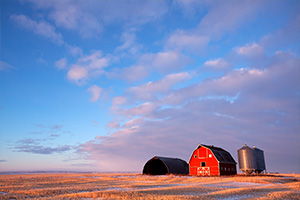 How Much Does Farm Insurance Cost in Canada? image