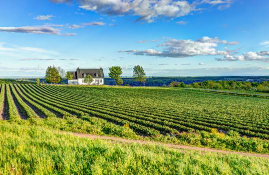 How Much Does Home Insurance Cost in Grande Prairie? What Affects Your Rates image