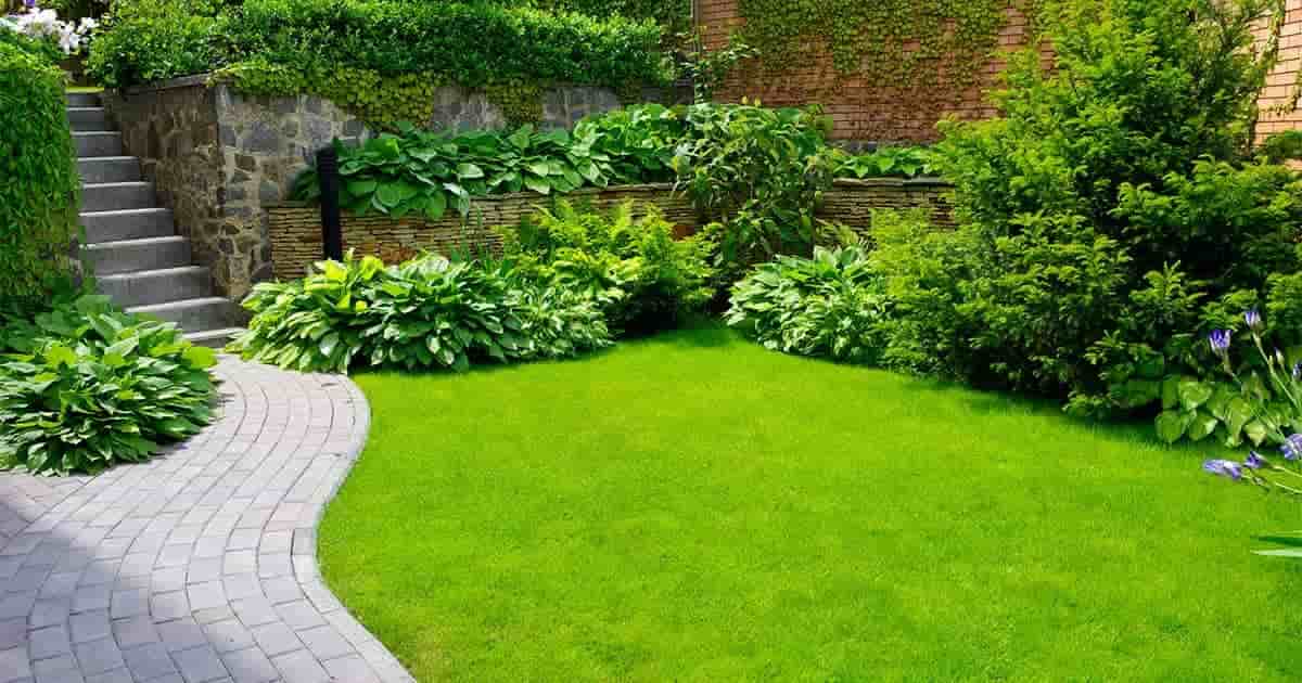 Taking care of your lawn care and landscaping business