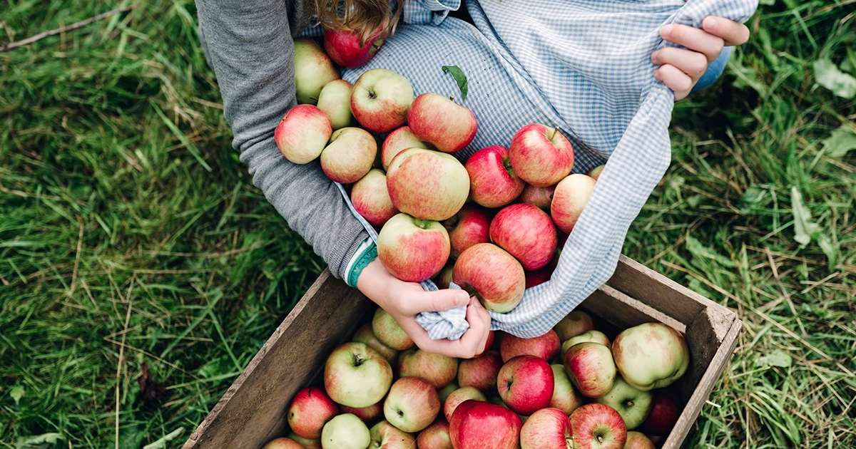 What Insurance You Need for Your Orchards