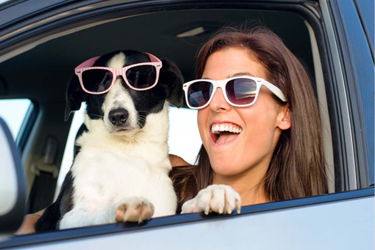 Taking your pets on the road