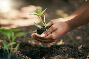 Celebrating Black Environmental Leadership