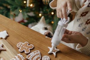 Pet Safety During the Holidays: Tips for Pet Owners