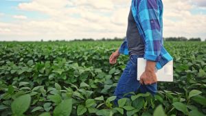 Mark Missal Farm Insurance 